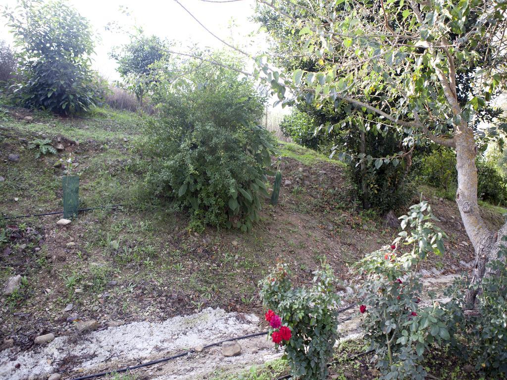 Casa Rural Vega El Dorado San Pablo Ngoại thất bức ảnh